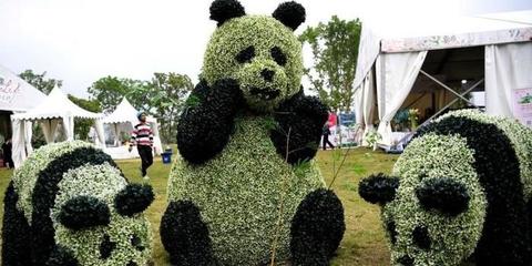 南山绿道花卉市场,南山绿道花卉市场地址