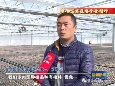 浙江花卉玻璃温室承建单位,玻璃温室招标