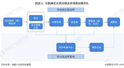 花卉电商国外现状论文,国外花卉产业发展现状