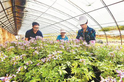 花卉销售现场图片大全,花卉销售现场图片大全高清