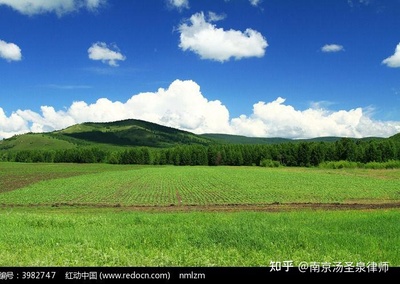 花卉大棚占用基本农田,养殖大棚占用基本农田能解决吗