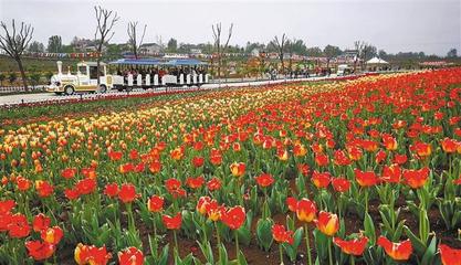 花卉苗木示范园,花卉苗木博览中心