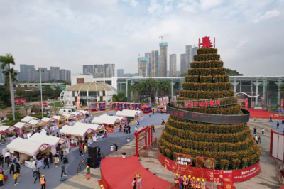 岭南花卉市场进货信息,岭南花卉市场进货信息表