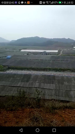 浙江花卉肥料生产批发基地,浙江化肥批发市场