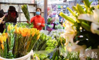 武汉花卉市场哪个最大,武汉大型花卉市场