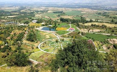 伊犁国际花卉园在哪里,伊犁市花