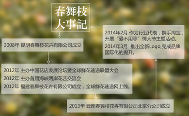 情人节花卉主题活动,情人节花店主题