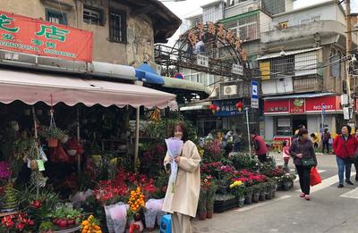 厦门哪里进花卉市场,厦门花卉基地批发