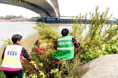 淮安通用花卉肥料报价多少,江苏省淮安市化肥生产厂家