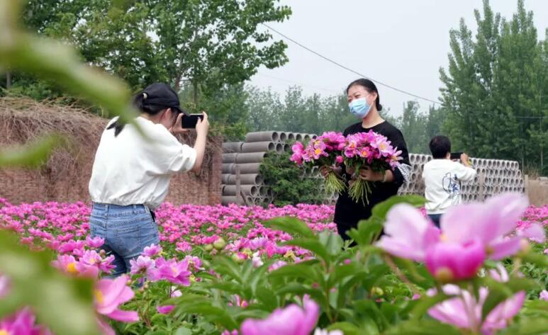 江夏区室外花卉养护,江夏卖花的地方