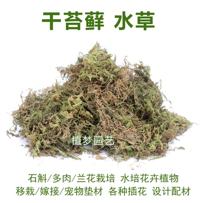 嫁接花卉后用什么肥料好,嫁接花卉后用什么肥料好些