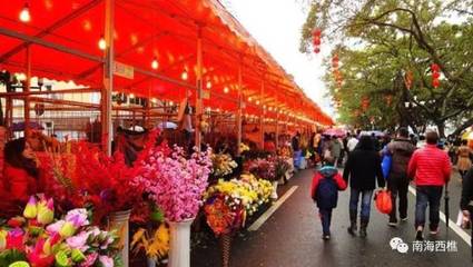 花卉市场招商方案实例,花卉市场运营方案