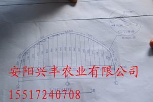 河北建设花卉温室造价预算,自建花卉温室