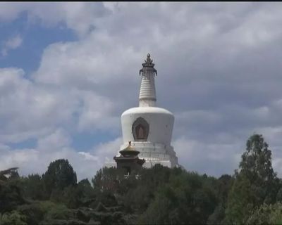 公司种植花卉活动报道,种植花草活动简报