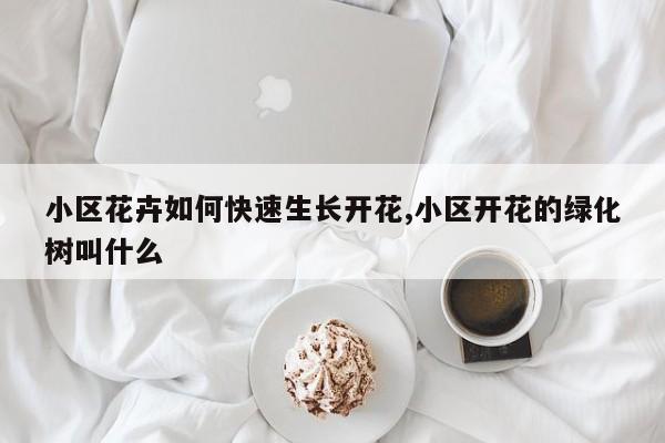 小区花卉如何快速生长开花,小区开花的绿化树叫什么