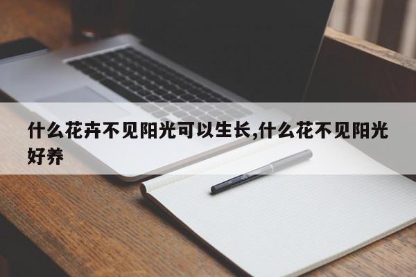 什么花卉不见阳光可以生长,什么花不见阳光好养